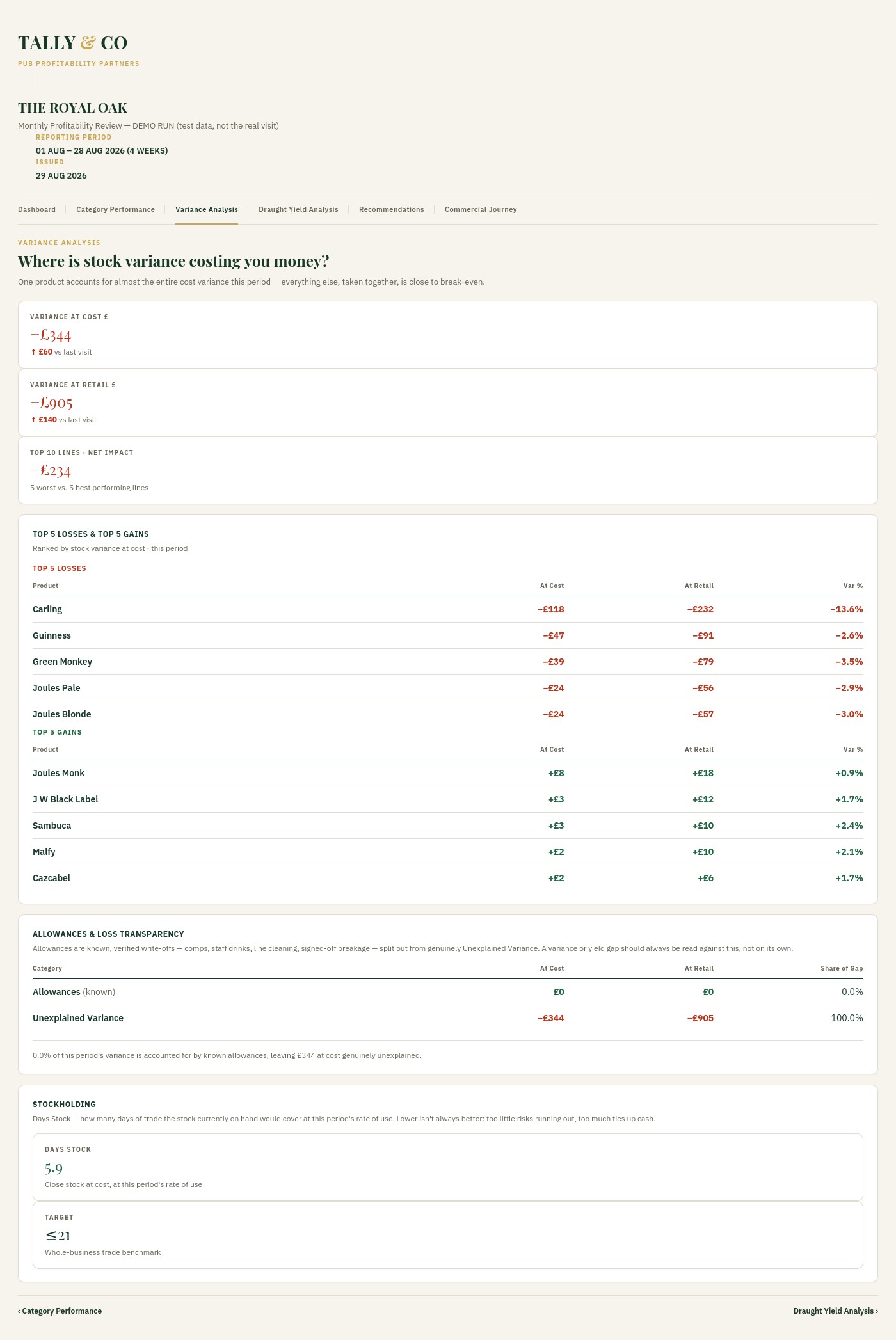 Tally & Co Variance Analysis sample page